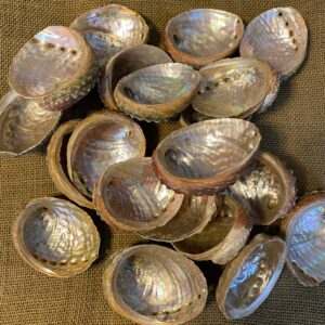 Natural Abalone Shell for Ritual & Energy Cleansing